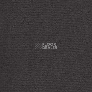 Ковролин Radici Nexus Antracite 8245 фото 1 | FLOORDEALER